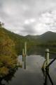 Gordon River Dock.jpg